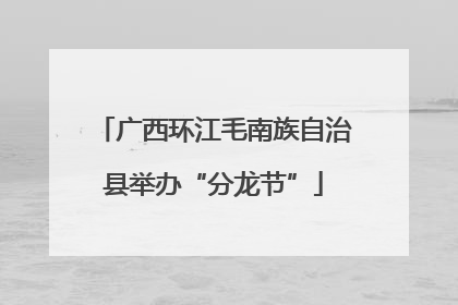 广西环江毛南族自治县举办“分龙节”
