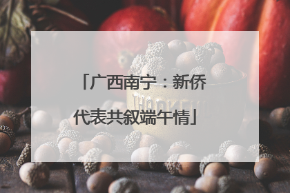 广西南宁：新侨代表共叙端午情