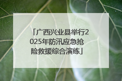 广西兴业县举行2025年防汛应急抢险救援综合演练