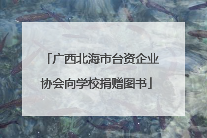 广西北海市台资企业协会向学校捐赠图书