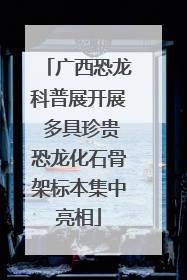 广西恐龙科普展开展 多具珍贵恐龙化石骨架标本集中亮相