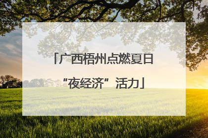 广西梧州点燃夏日“夜经济”活力