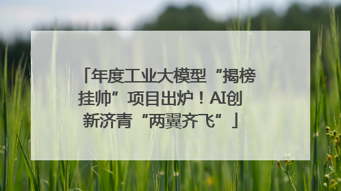 年度工业大模型“揭榜挂帅”项目出炉！AI创新济青“两翼齐飞”