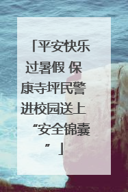 平安快乐过暑假 保康寺坪民警进校园送上“安全锦囊”
