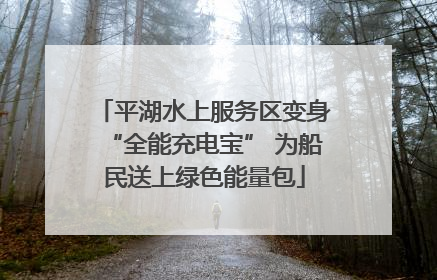 平湖水上服务区变身“全能充电宝” 为船民送上绿色能量包