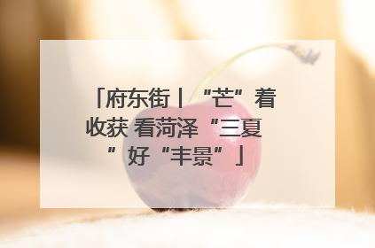 府东街丨“芒”着收获 看菏泽“三夏”好“丰景”