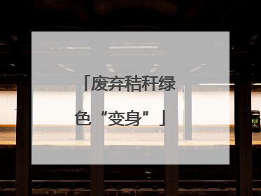 废弃秸秆绿色“变身”