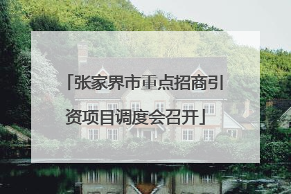 张家界市重点招商引资项目调度会召开