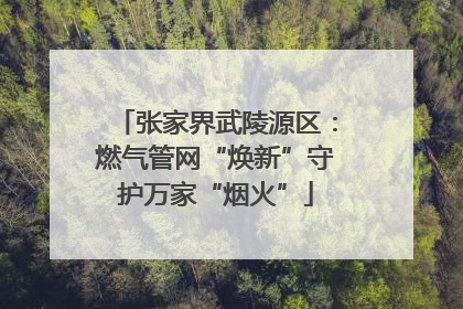 张家界武陵源区：燃气管网“焕新”守护万家“烟火”