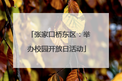 张家口桥东区：举办校园开放日活动