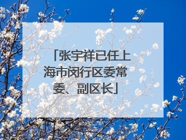 张宇祥已任上海市闵行区委常委、副区长