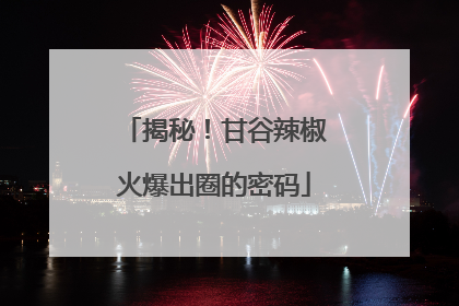 揭秘！甘谷辣椒火爆出圈的密码