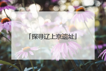 探寻辽上京遗址