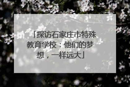 探访石家庄市特殊教育学校：他们的梦想，一样远大