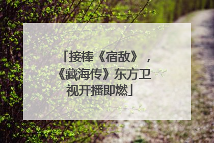 接棒《宿敌》，《藏海传》东方卫视开播即燃