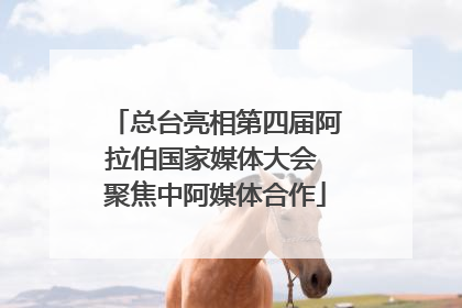 总台亮相第四届阿拉伯国家媒体大会 聚焦中阿媒体合作