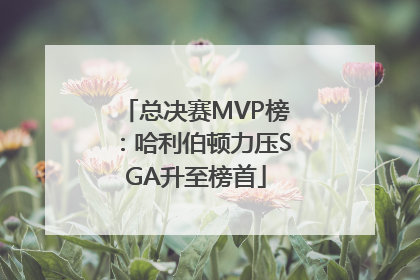 总决赛MVP榜：哈利伯顿力压SGA升至榜首