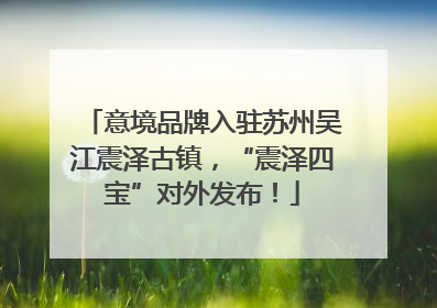 意境品牌入驻苏州吴江震泽古镇，“震泽四宝”对外发布！