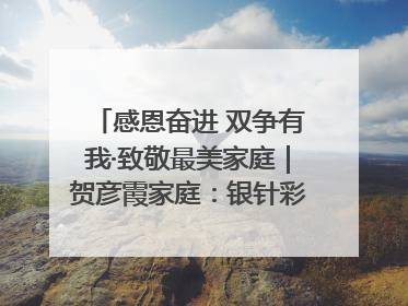 感恩奋进 双争有我·致敬最美家庭｜贺彦霞家庭：银针彩线绣出好日子