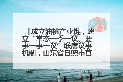 成立油桃产业链，建立“常态一季一议、要事一事一议”联席议事机制，山东省日照市莒县果庄镇——13个党小组“全周期”育果