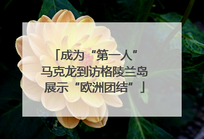 成为“第一人” 马克龙到访格陵兰岛展示“欧洲团结”