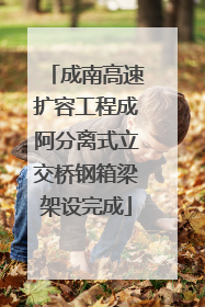 成南高速扩容工程成阿分离式立交桥钢箱梁架设完成