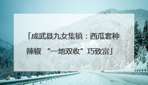 成武县九女集镇：西瓜套种辣椒 “一地双收”巧致富