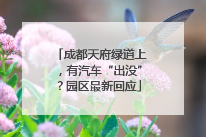 成都天府绿道上，有汽车“出没”？园区最新回应