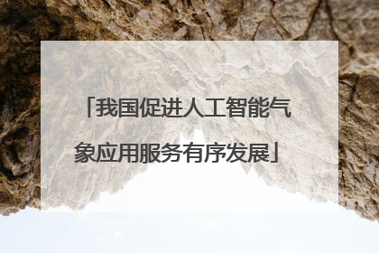 我国促进人工智能气象应用服务有序发展