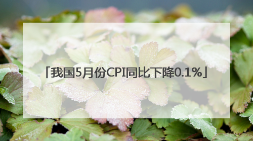 我国5月份CPI同比下降0.1%