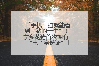 手机一扫就能看到“猪的一生”！宁乡花猪首次拥有“电子身份证”