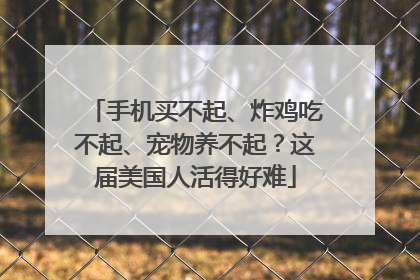 手机买不起、炸鸡吃不起、宠物养不起？这届美国人活得好难