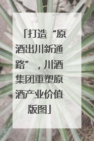 打造“原酒出川新通路”，川酒集团重塑原酒产业价值版图