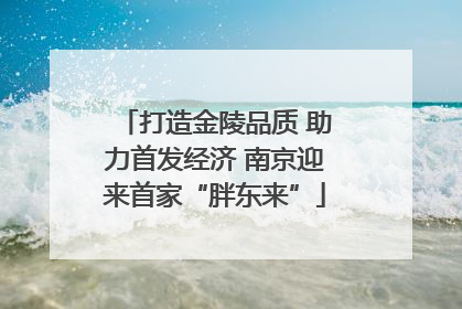 打造金陵品质 助力首发经济 南京迎来首家“胖东来”