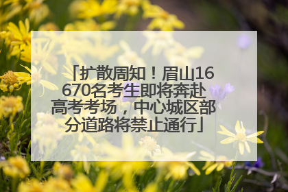 扩散周知！眉山16670名考生即将奔赴高考考场，中心城区部分道路将禁止通行