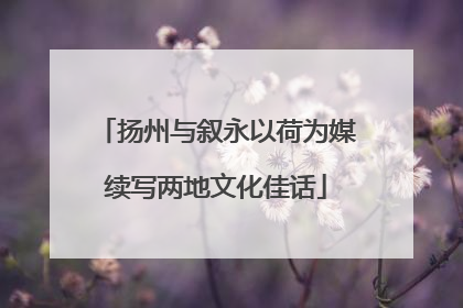 扬州与叙永以荷为媒续写两地文化佳话