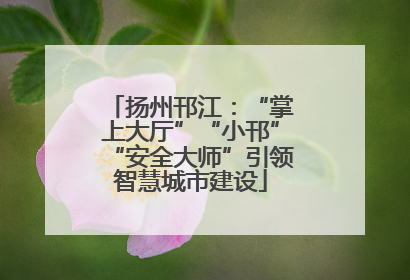 扬州邗江：“掌上大厅”“小邗”“安全大师”引领智慧城市建设