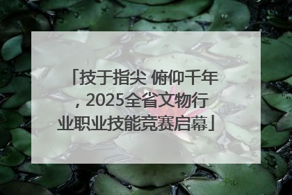 技于指尖 俯仰千年，2025全省文物行业职业技能竞赛启幕