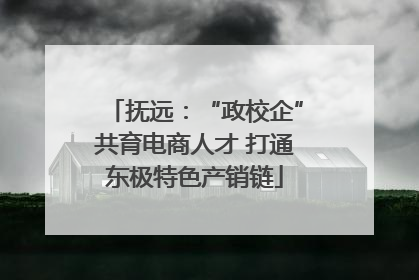 抚远：“政校企”共育电商人才 打通东极特色产销链