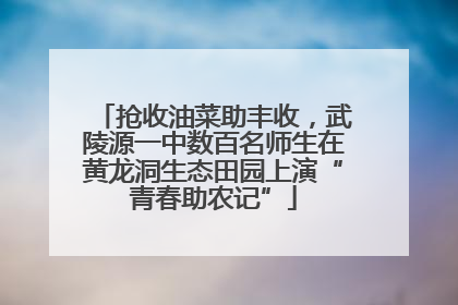 抢收油菜助丰收，武陵源一中数百名师生在黄龙洞生态田园上演“青春助农记”
