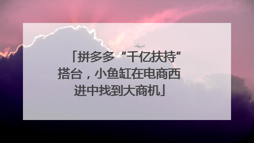 拼多多“千亿扶持”搭台，小鱼缸在电商西进中找到大商机