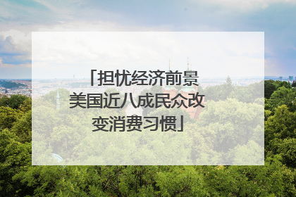 担忧经济前景 美国近八成民众改变消费习惯