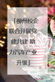 柳州校企联合开展党建共建 助力汽车产业升级