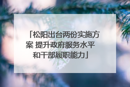松阳出台两份实施方案 提升政府服务水平和干部履职能力