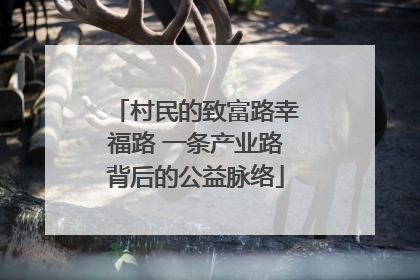 村民的致富路幸福路 一条产业路背后的公益脉络