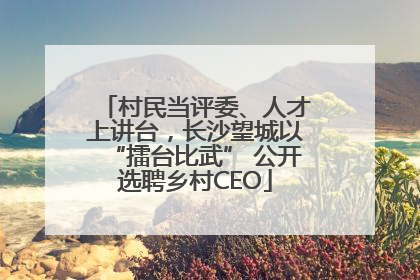 村民当评委、人才上讲台，长沙望城以“擂台比武” 公开选聘乡村CEO