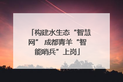 构建水生态“智慧网” 成都青羊“智能哨兵”上岗