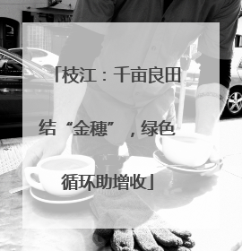 枝江：千亩良田结“金穗”，绿色循环助增收
