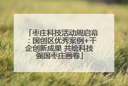 枣庄科技活动周启幕：国创区优秀案例+千企创新成果 共绘科技强国枣庄画卷