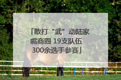 散打“武”动陆家嘴商圈 19支队伍300余选手参赛